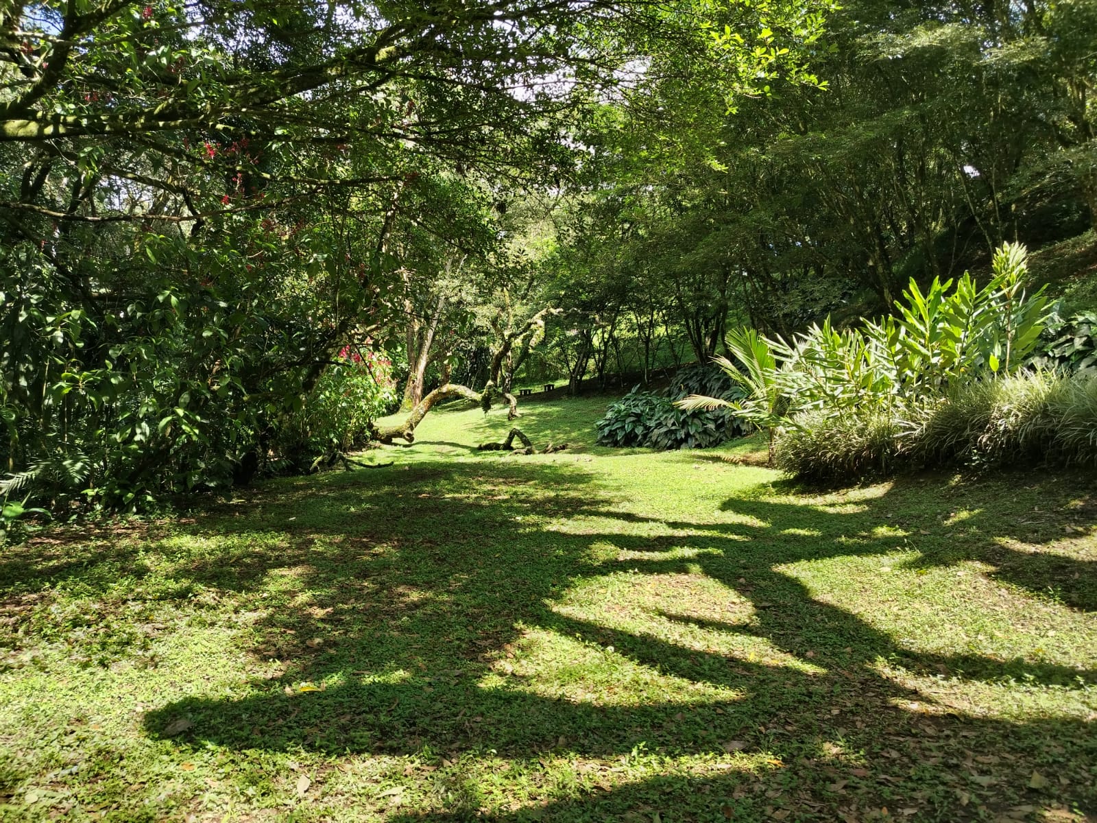 Jardín
