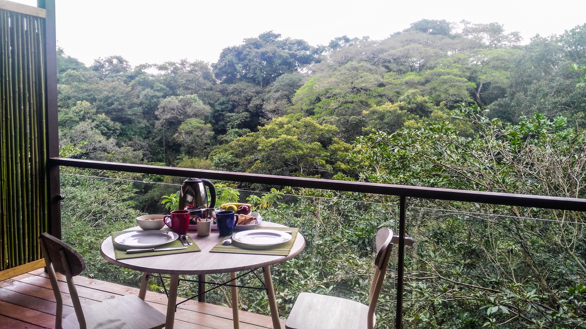 Terraza con vista al bosque