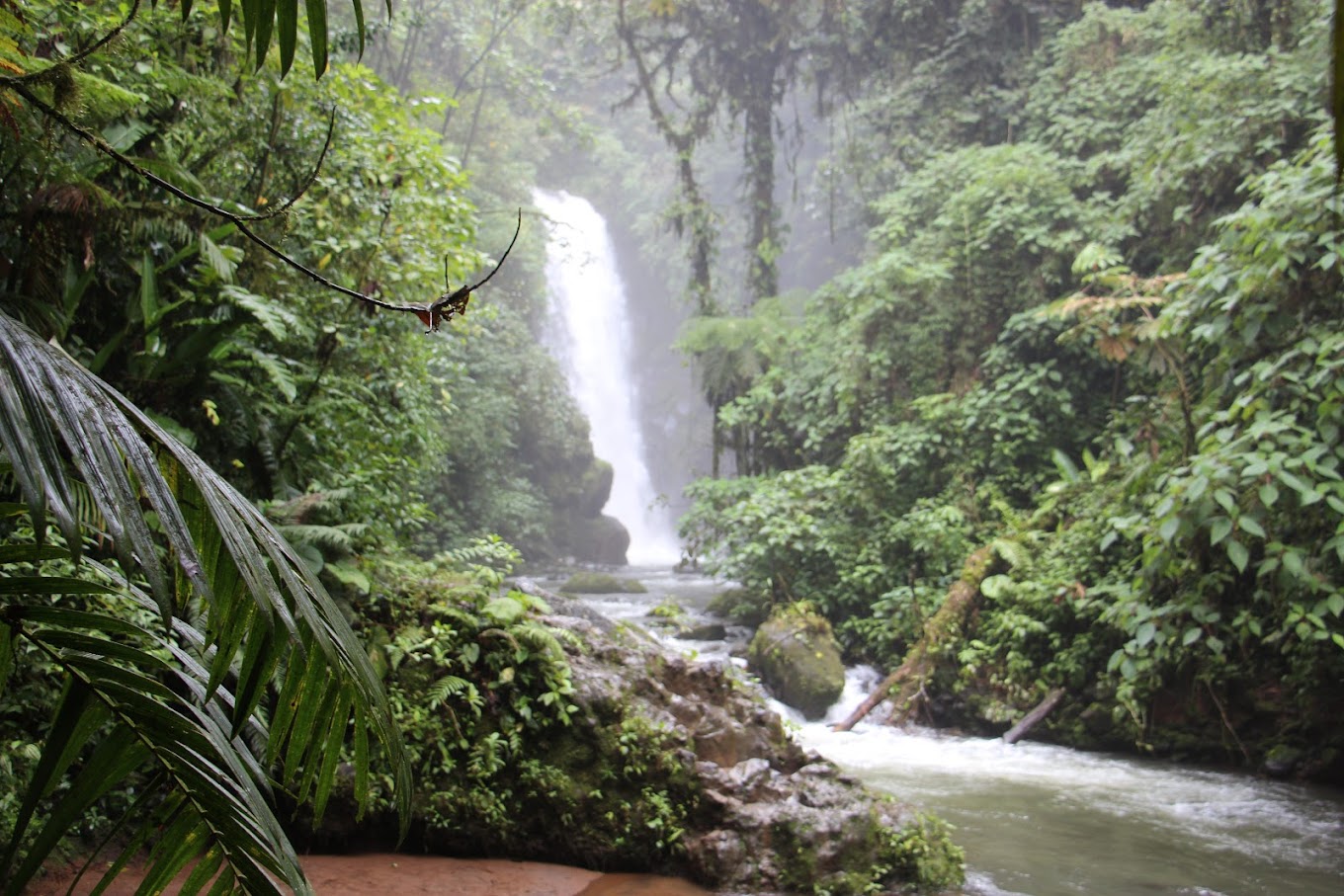 Cascada
